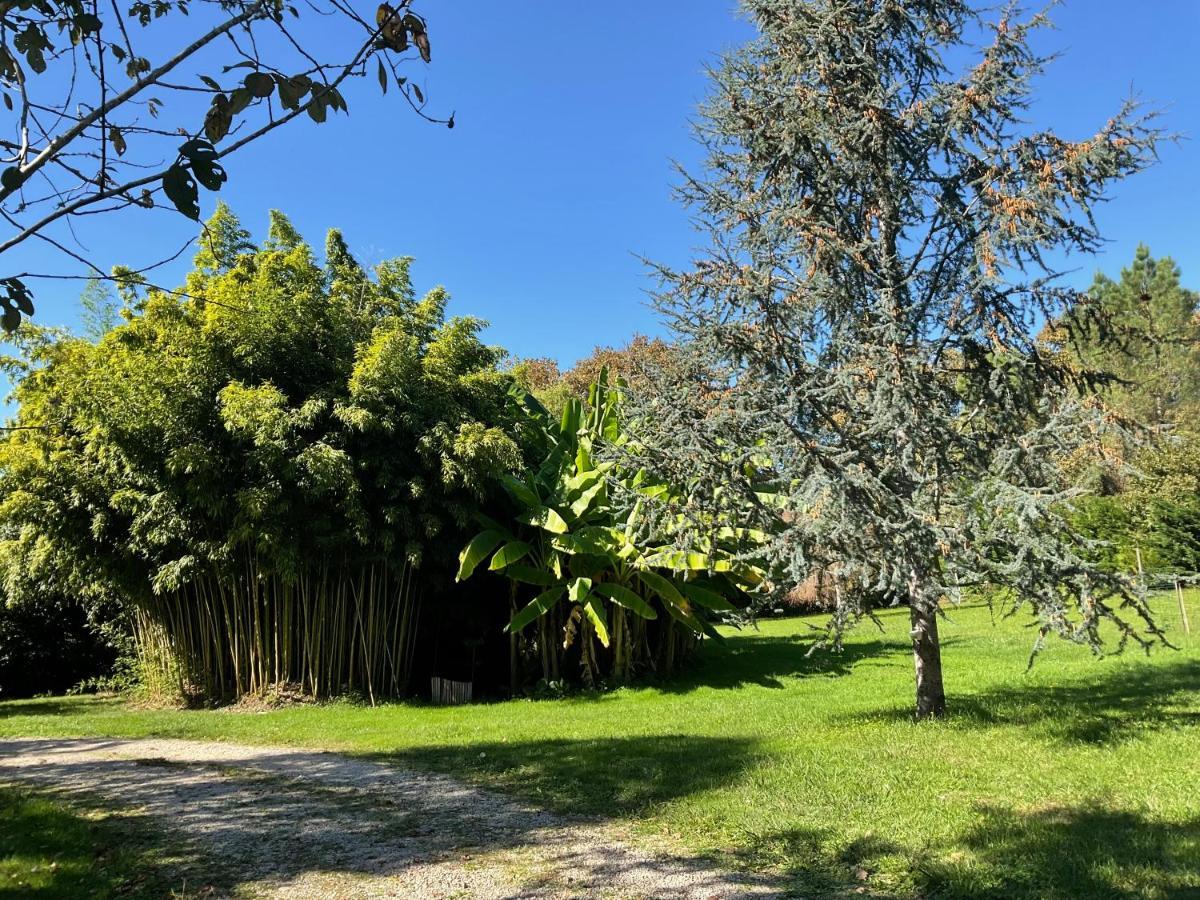 Le Clos Du Benestar Mauvezin-d'Armagnac Exterior foto